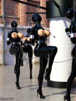 53386_1_11zon.jpg