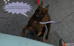 15.png