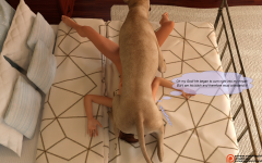 14.png