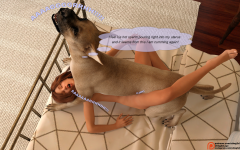 22.png