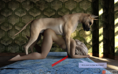 15.png