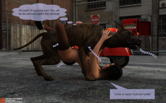 33.png