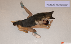 35.png