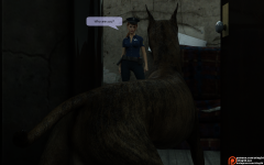10.png