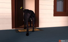 08.png