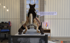 29.png