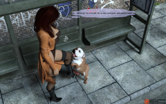 15.png