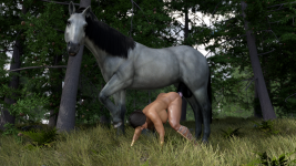 WW Horse 1.png