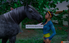 15.png