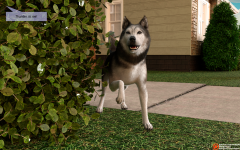 04.png
