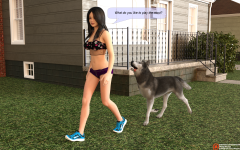 11.png