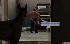 19.png
