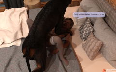 23.png