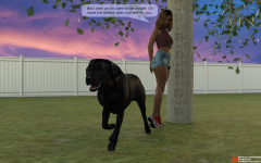 15.png