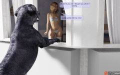 17.png