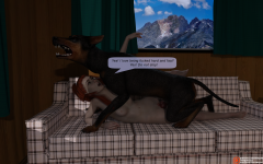 29.png