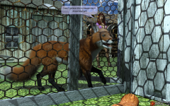 02.png