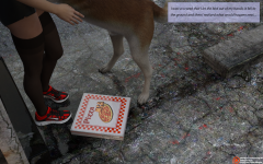 17.png