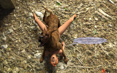 37.png