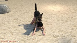 De at Beach 14.jpg