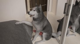 1 (44).jpg