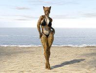 Cheetah 02.jpg Cheetah 02.jpg