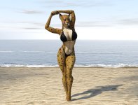 Cheetah 03.jpg Cheetah 03.jpg