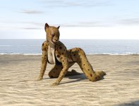 Cheetah 07.jpg Cheetah 07.jpg