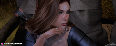 Snapshot_015.png