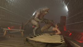 15.png