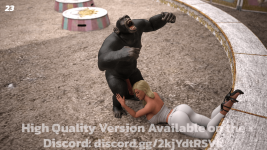 23.png
