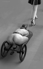 778050-78.jpg