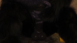 1 (30).jpg