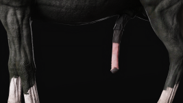 573eabb2ffef212332c43ab1b446b158.png