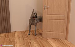 3465077d1d1f701.jpg