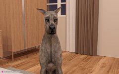 3665077d24cef28.jpg