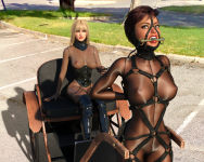 Swift Heels  (6).png