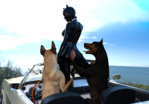 doggyReunion01.png
