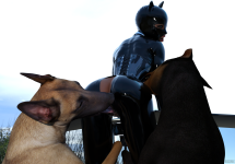 doggyReunion05.png