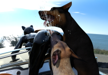 doggyReunion08.png