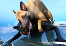 doggyReunion12b.png