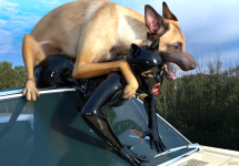 doggyReunion14b.png
