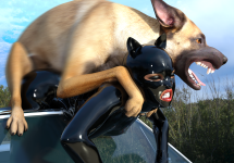 doggyReunion16b.png