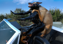 doggyReunion20b.png