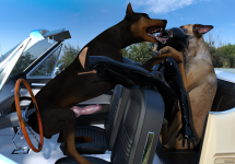 doggyReunion22.png