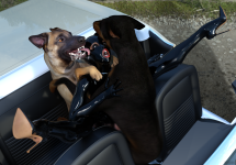 doggyReunion24b.png