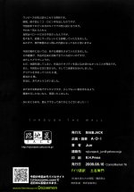 through_the_wall_024.jpg
