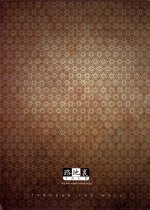 through_the_wall_025.jpg