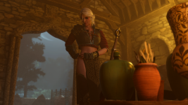 Ciri alone time 1.png