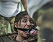 82.jpg